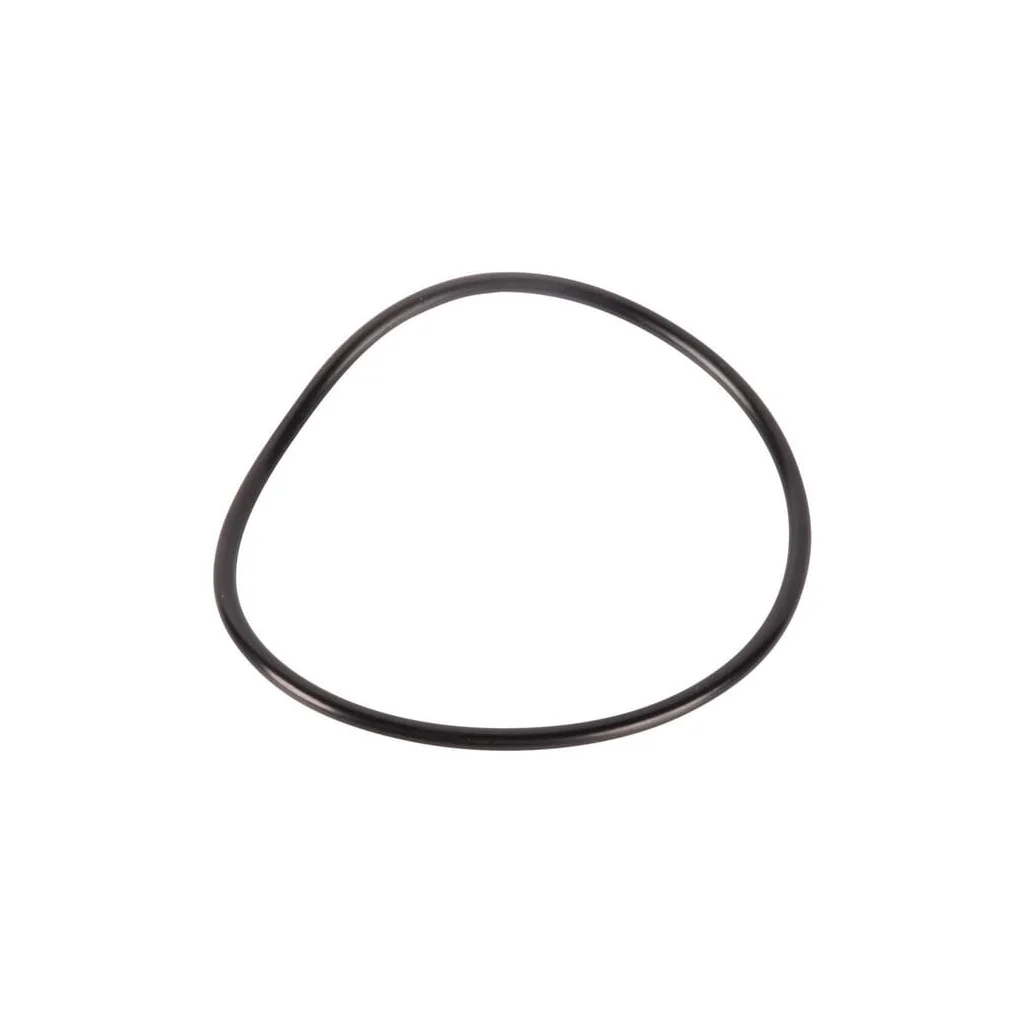 O-ring 78,97x3,53/431mm 06230062