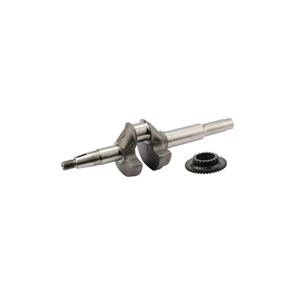 Arbore cotit 06131Z8DW50