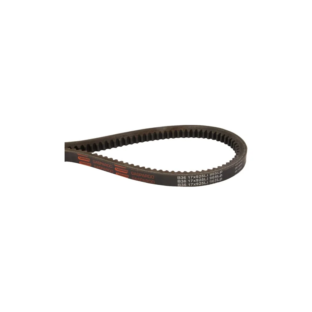 Curea trapezoidala Maschio 06010025