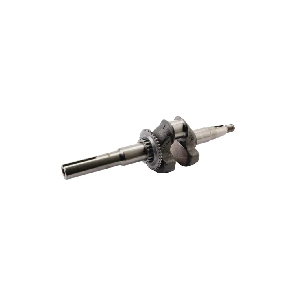 Kit arbore cotit 06131Z8DW20