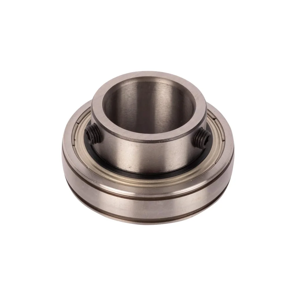Rulment 06200186