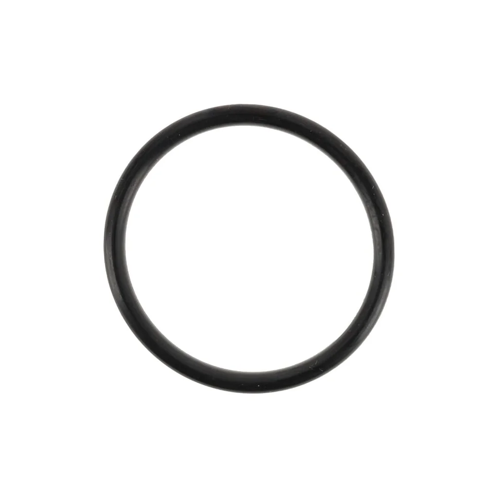 O-ring 0700013040