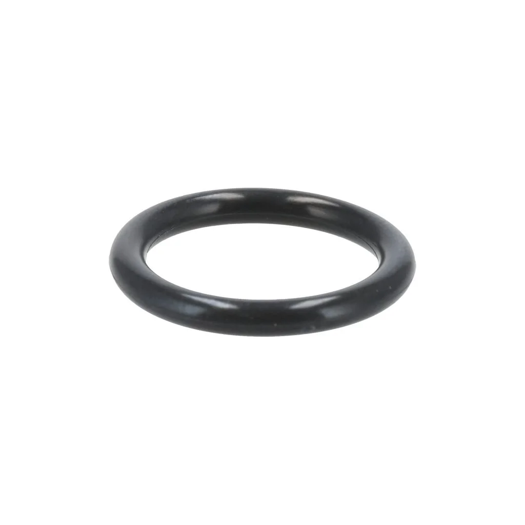 O-ring 0700222434