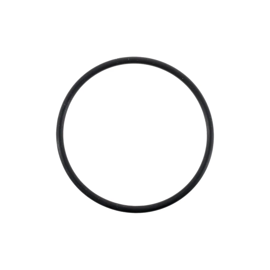 O-ring 0700012060