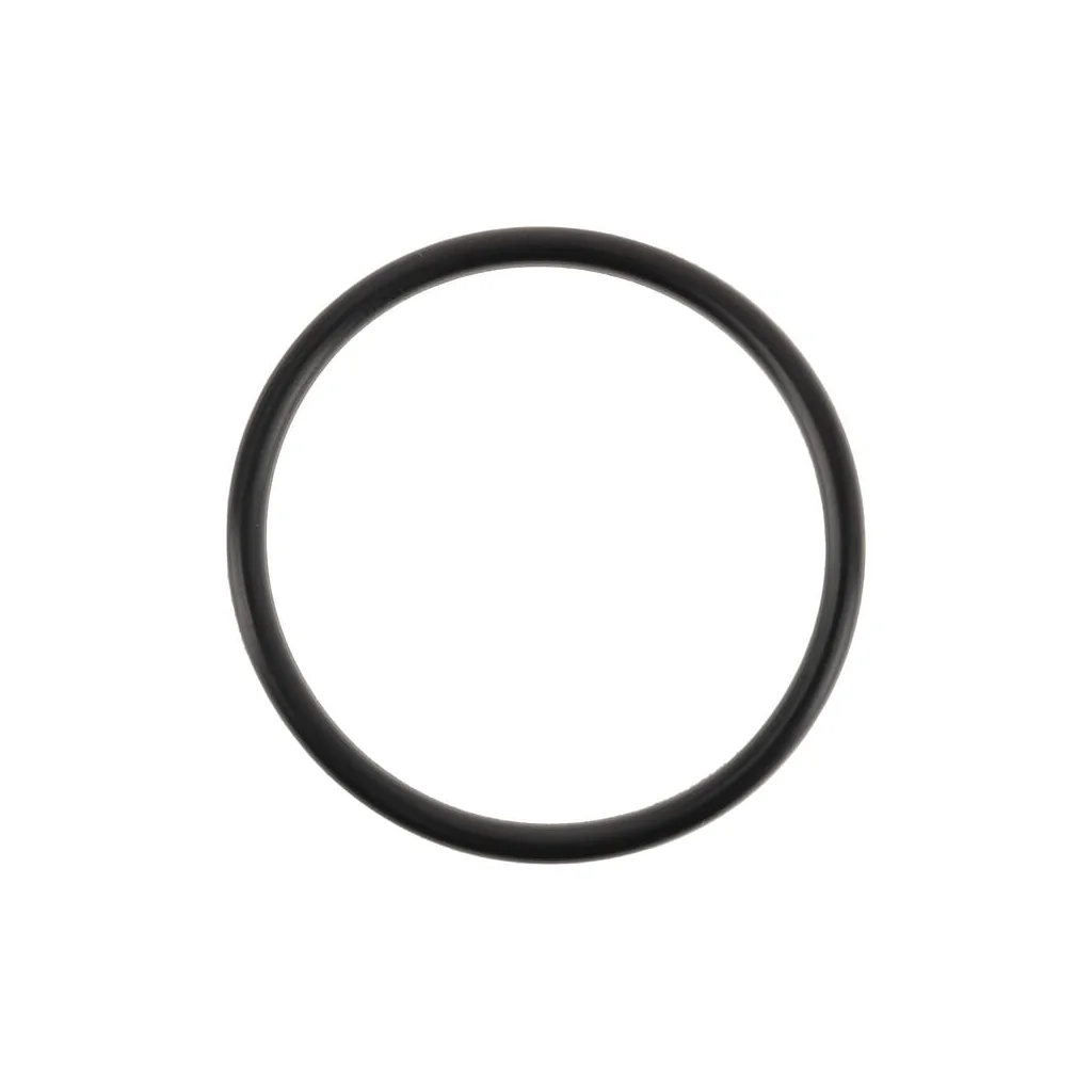 O-ring 0700013048