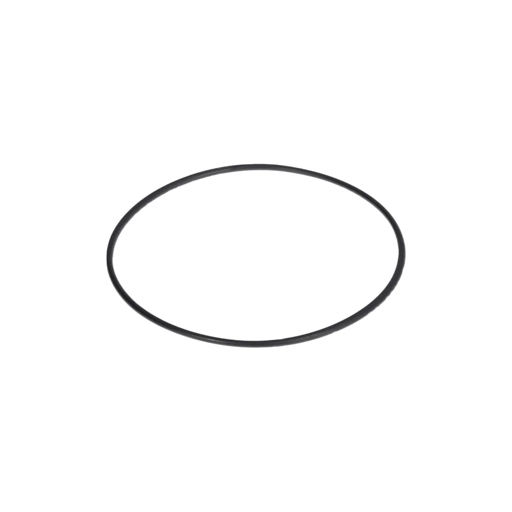 O-ring 0700012125