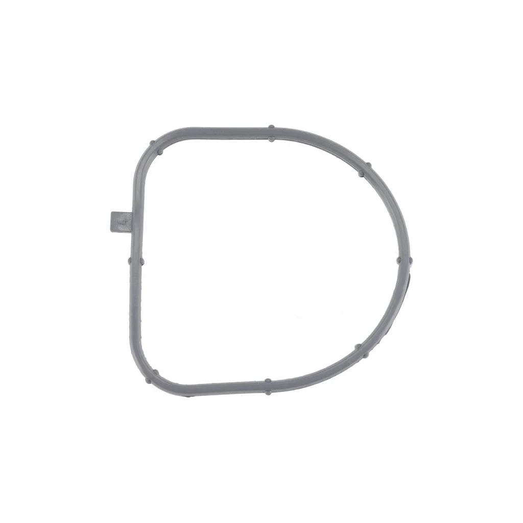 Garnitură termostat 1000256909