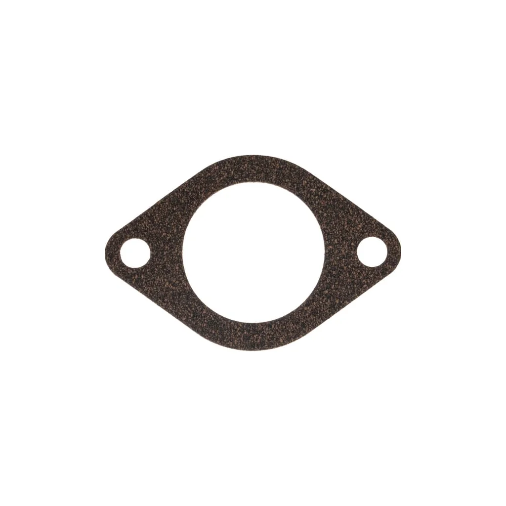 Termostat 1000200054