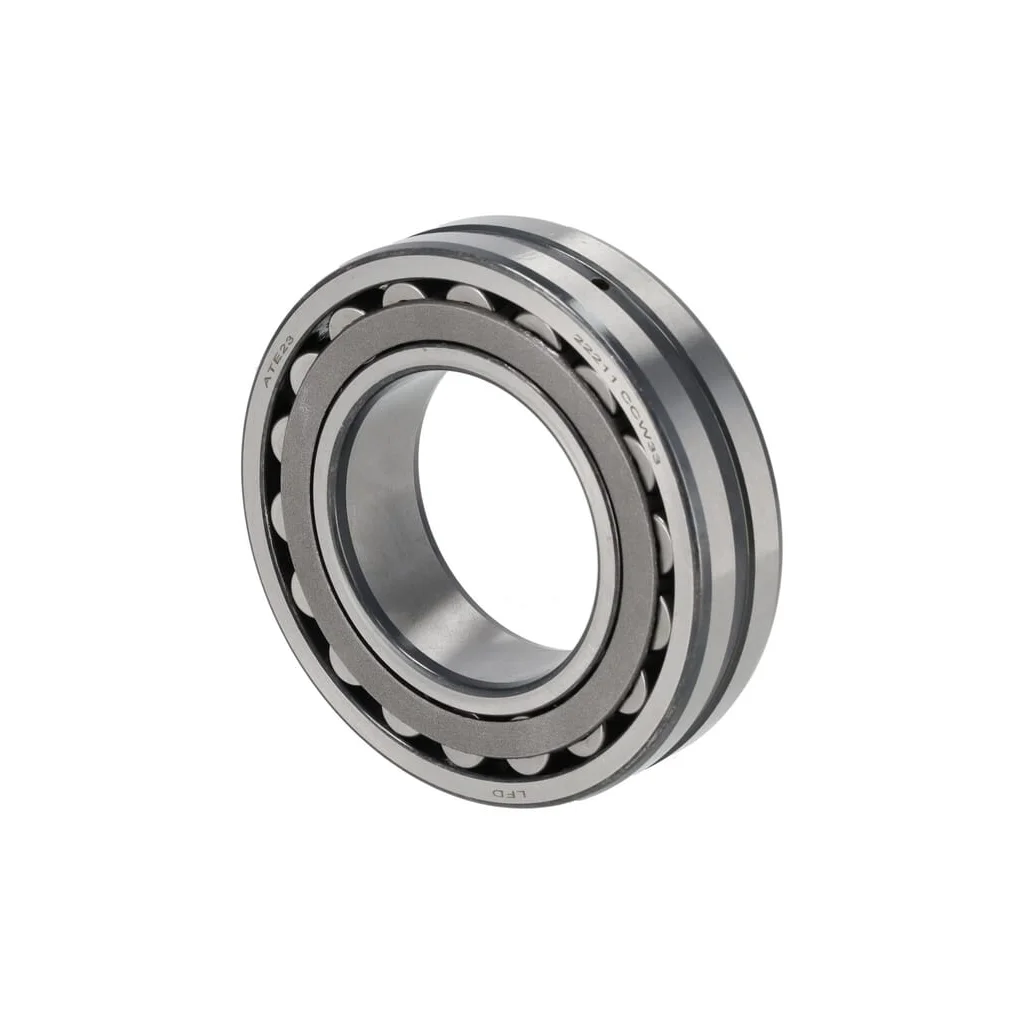 Rulment 1000320089