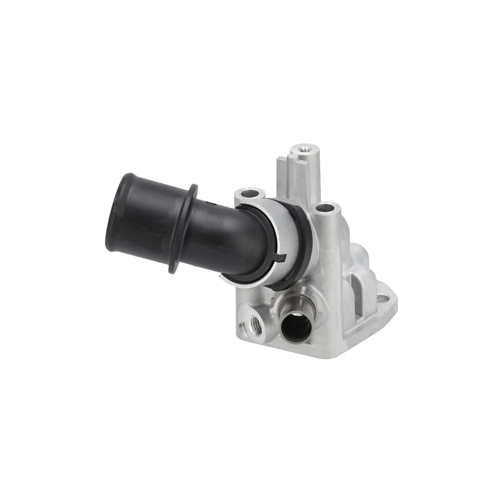 Termostat 1000310883