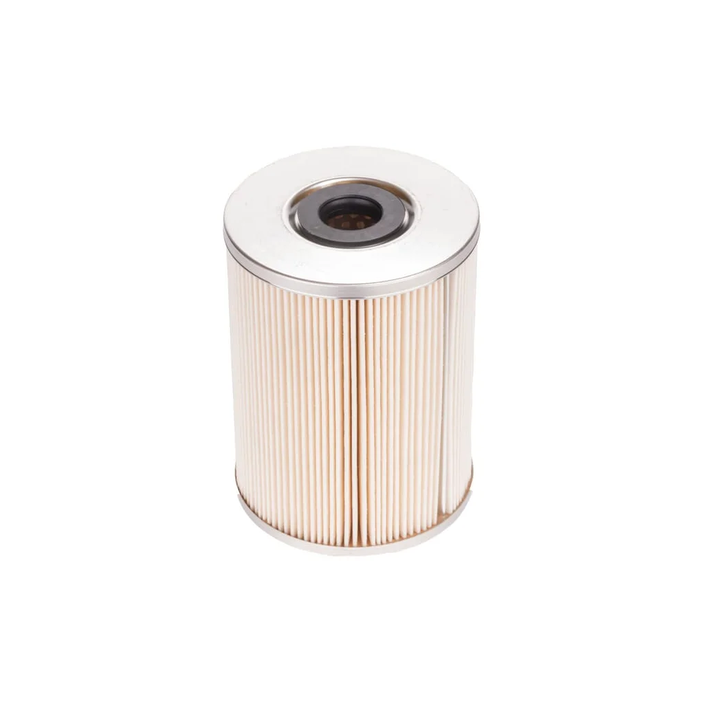 Inserție filtru de combustibil 1000313233