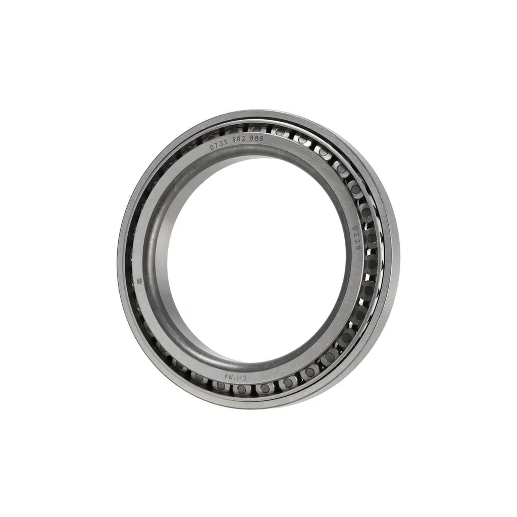 Rulment 1000087093