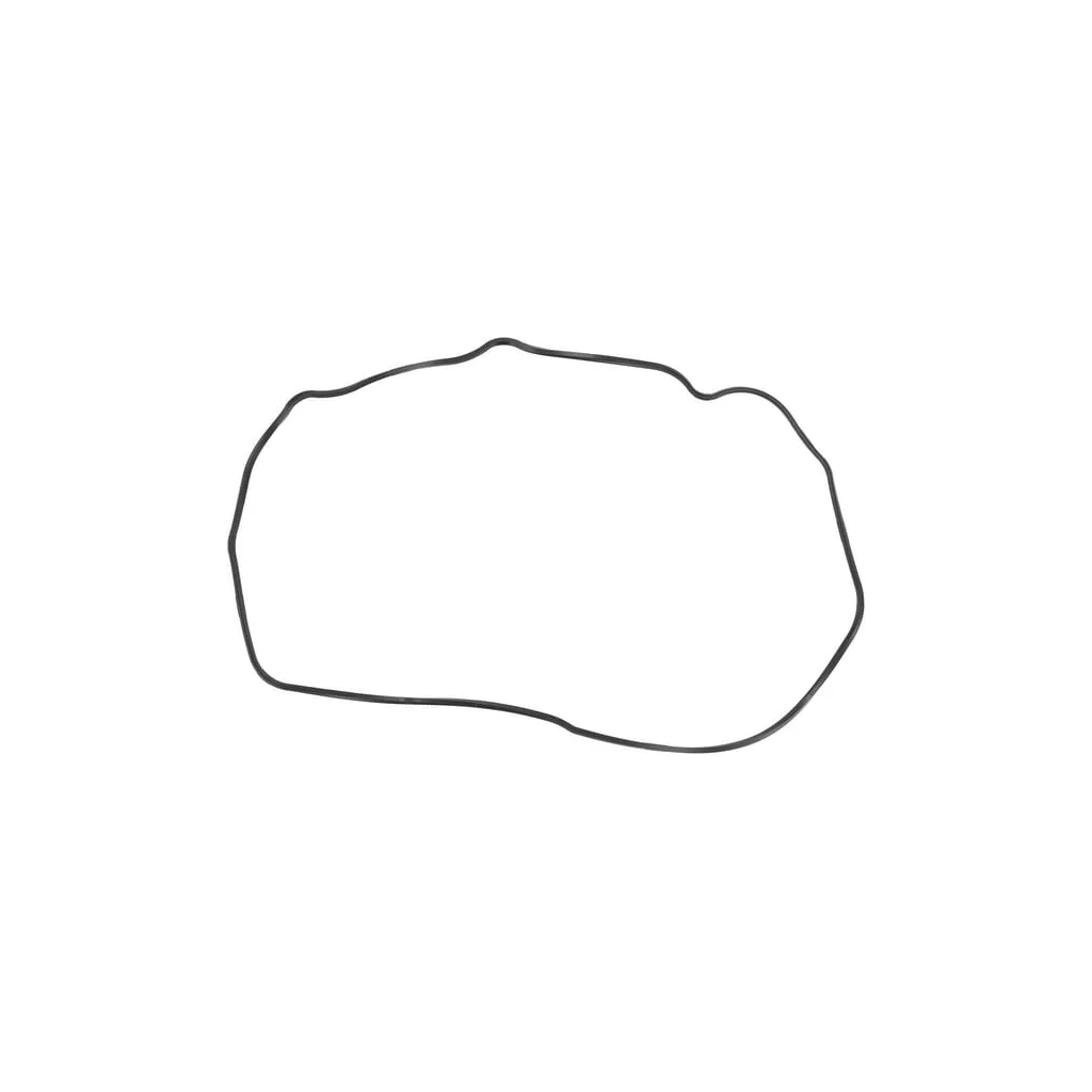 Garnitură capac supape 1000104765
