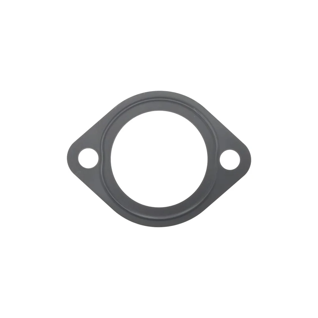 [AMAT2-42604] Garnitură termostat 1000026886