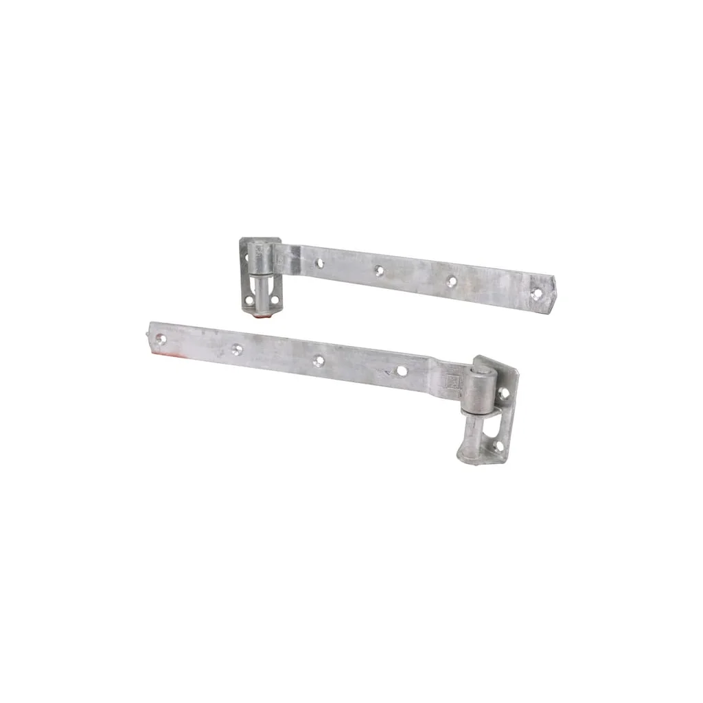 Cârlig pe placă compl. 310mm 2 buc. 0960222200102