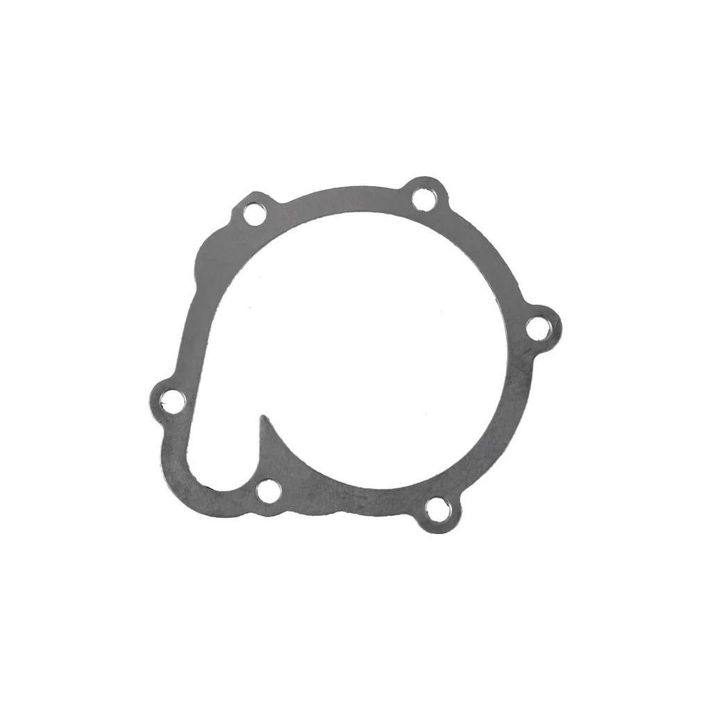 [AMAT2-42864] Garnitură pompă apă 1000135634