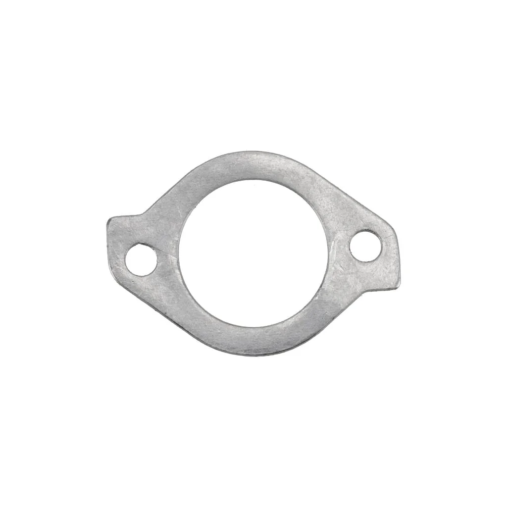 Garnitură termostat 1000012548