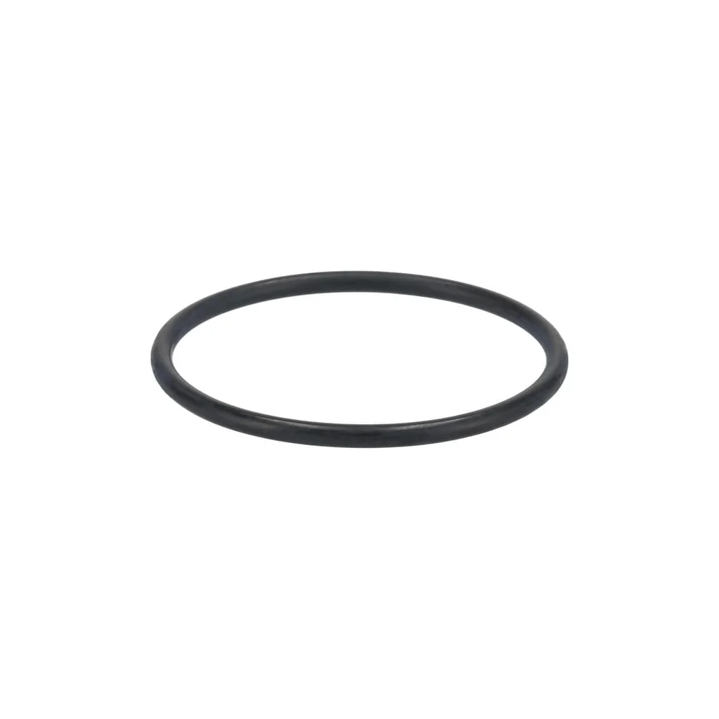 [AMAT2-42937] Garnitură pompă apă 1000088358