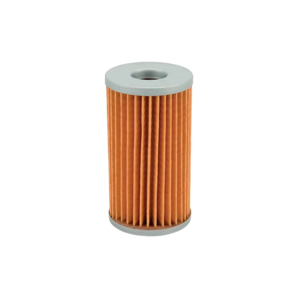 Filtru de combustibil 1000001012