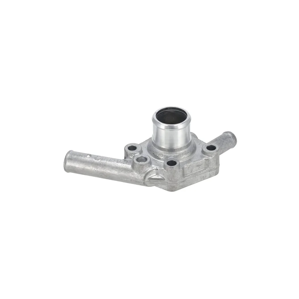 Termostat 1000492819