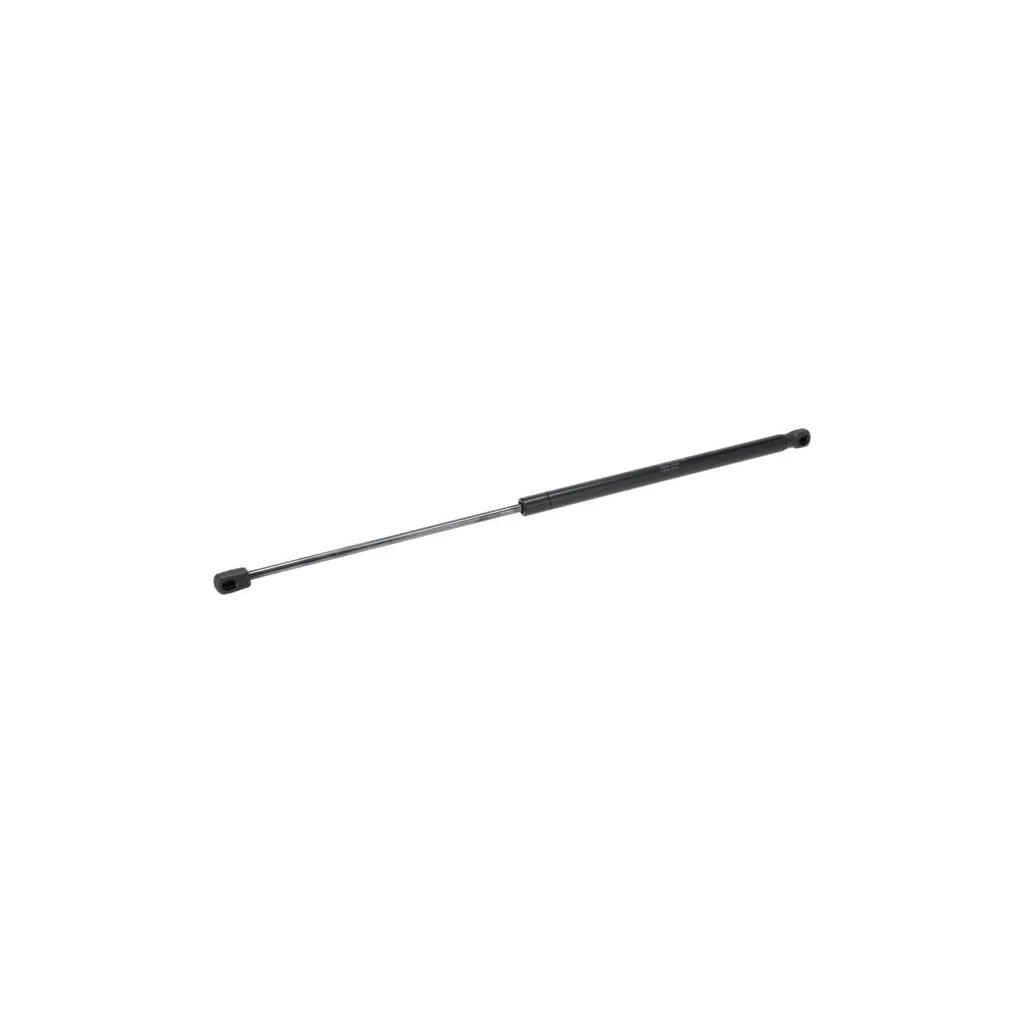 [AMAT2-43575] Amortizor gaz 1000453483