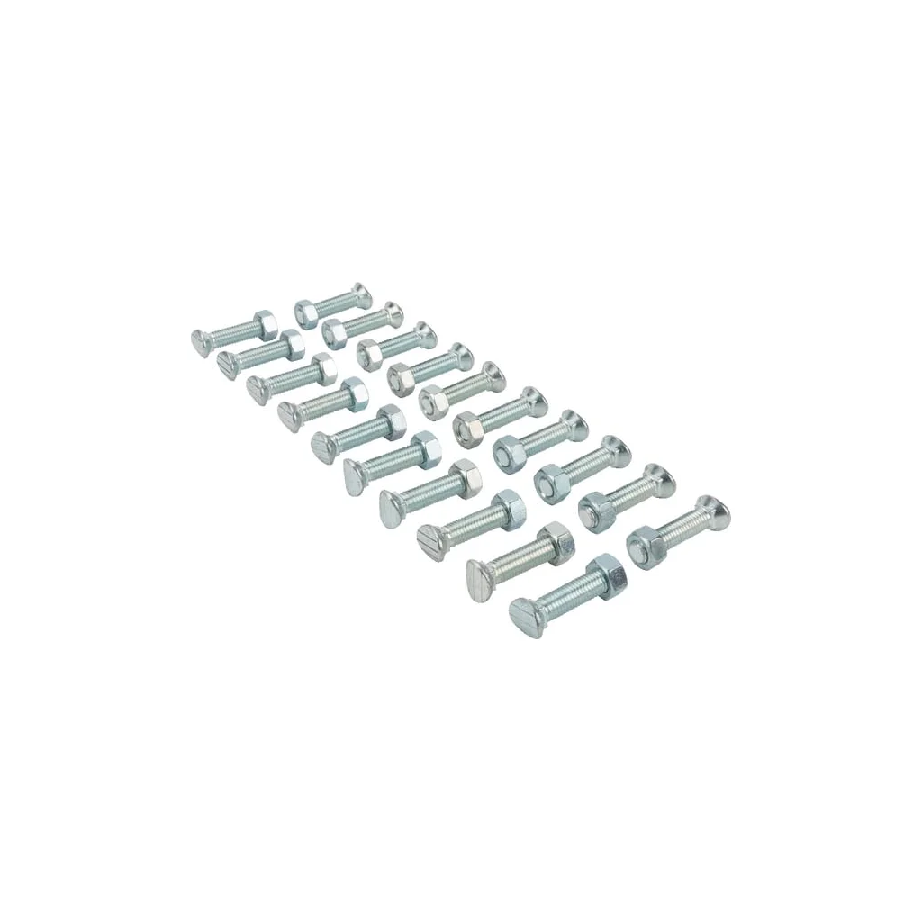 Set șuruburi cap oval gât pătrat M12x55mm 20 buc. 100323370