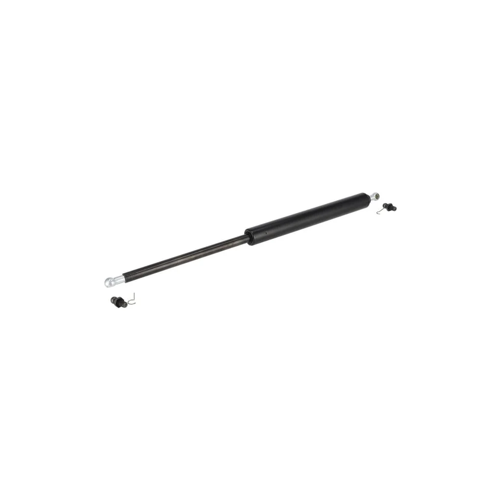 [AMAT2-44047] Amortizor gaz 1000365811