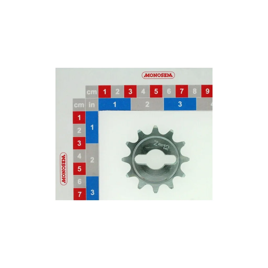 Pinion interschimbabil cu 12 dinți 10120002