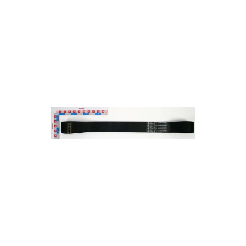 Curea de transmisie - 540 rpm 10219001