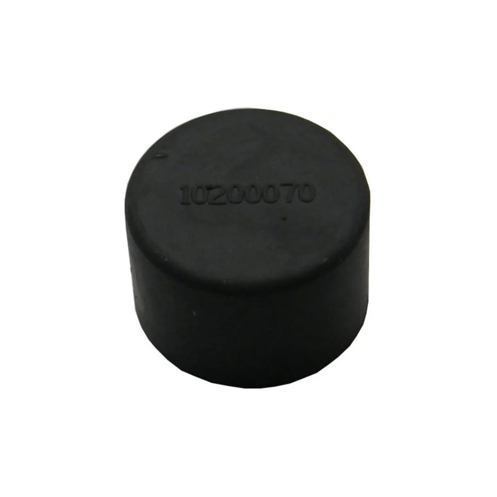 Ştecher 10200070N