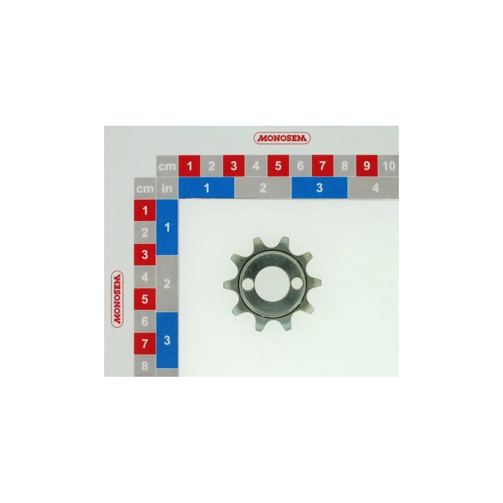 Pinion interschimbabil cu 10 dinți 10120001