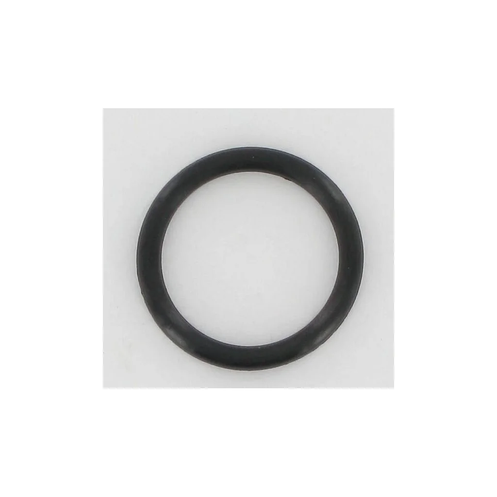 O-ring 10641