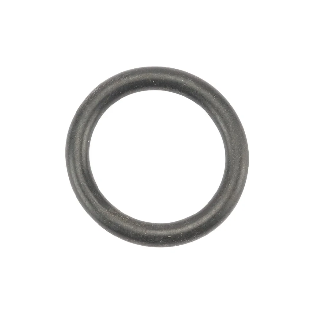 O-ring 10672