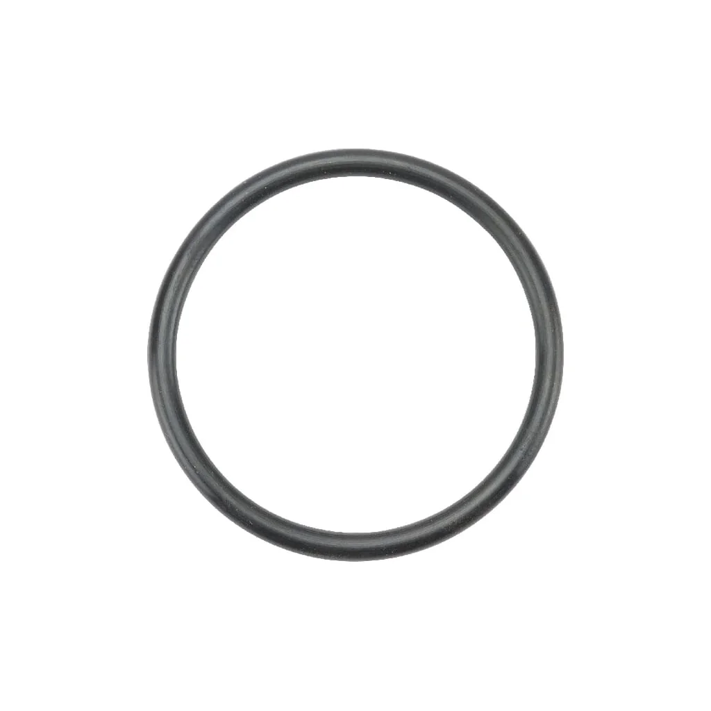 O-ring 10697