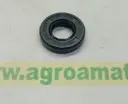 Simering AR103873