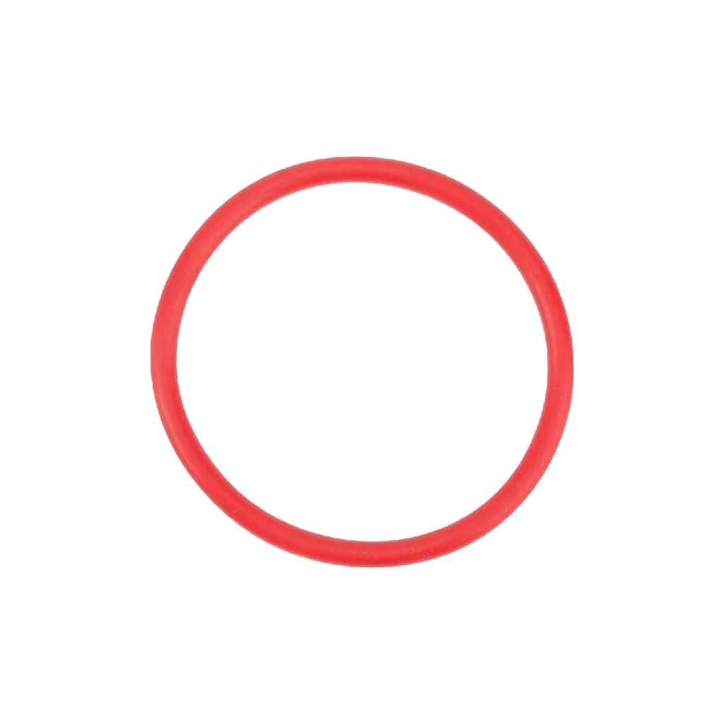 O-ring 10701