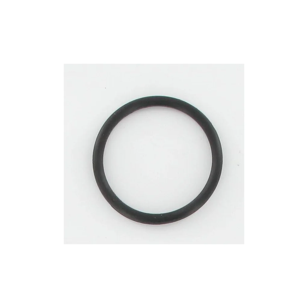O-Ring 10675SL