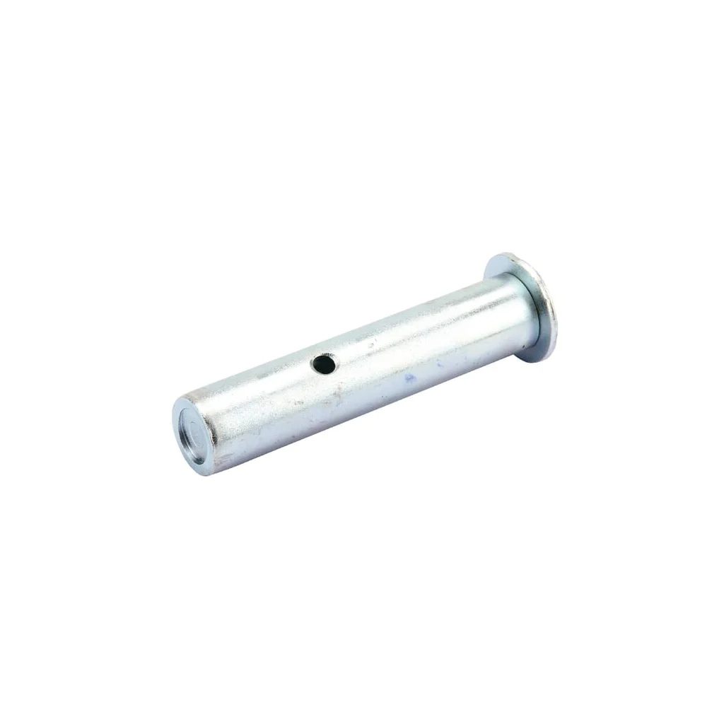 Pin Scharmüller 104239050