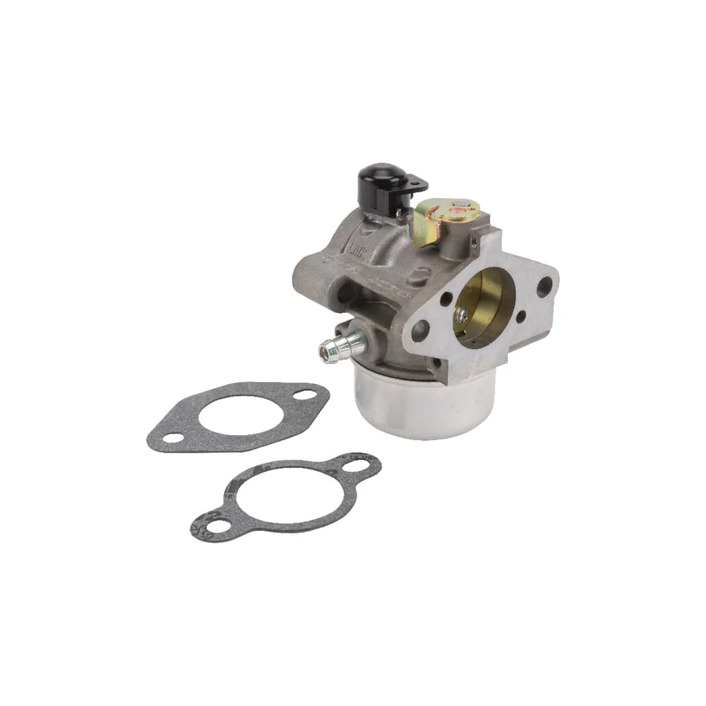 Carburator cu garnituri 12853169S