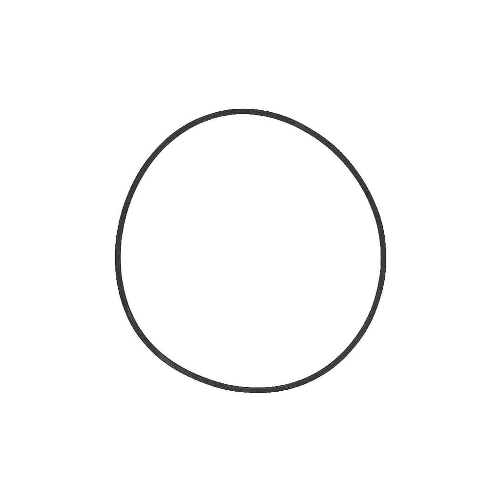 O-ring 1286083C1