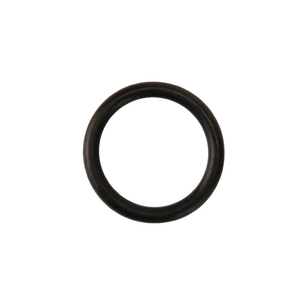 [AMAT2-60032] O-ring 19x3mm 127372