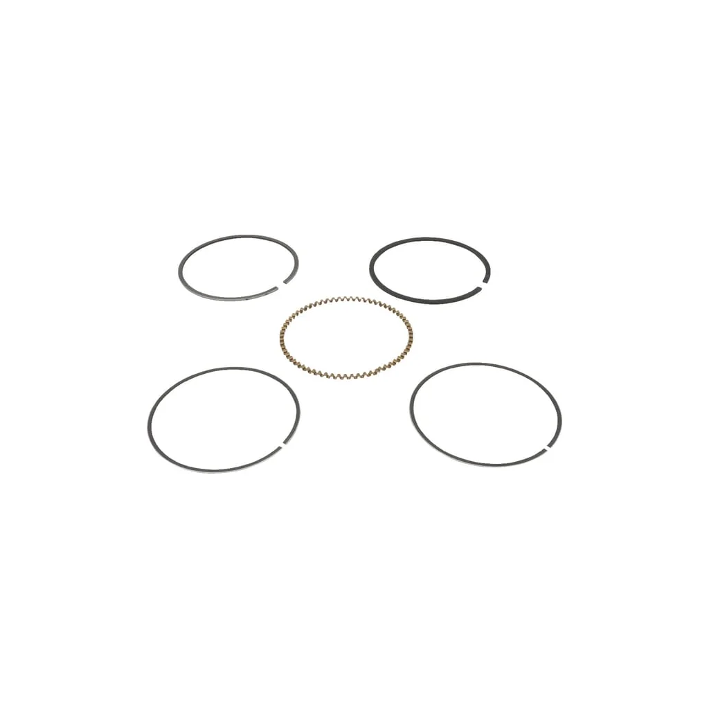 Segmenți piston 130086073