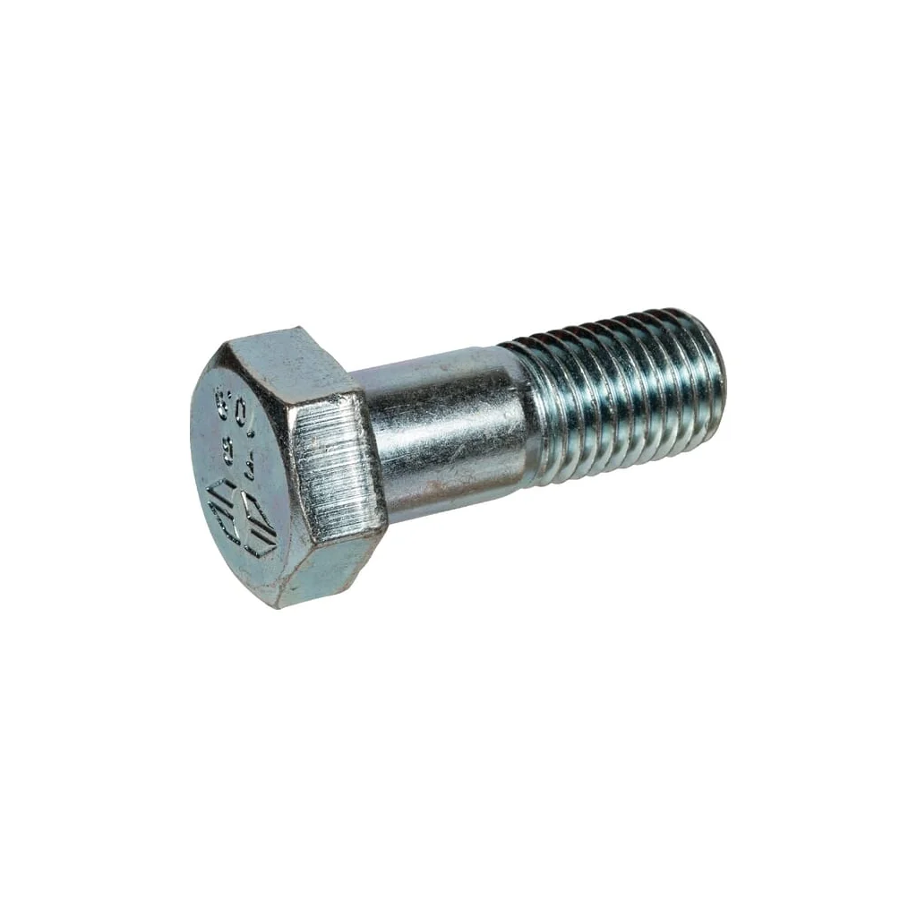 Șurub H M20x55 grupa 10.9 1116169DK