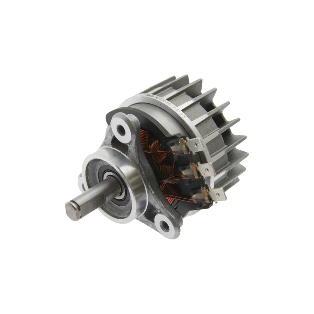 Motor electric 12546000200