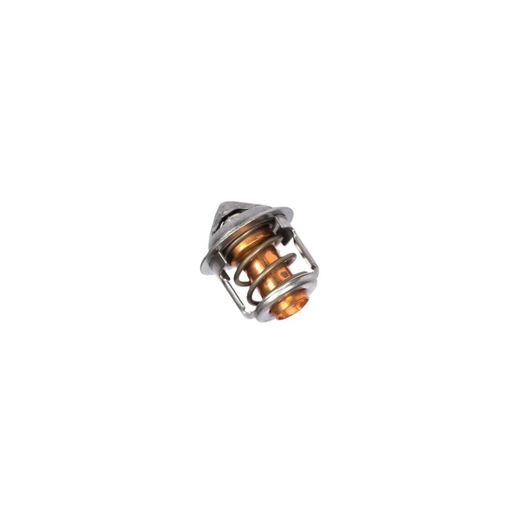 Termostat 145206270