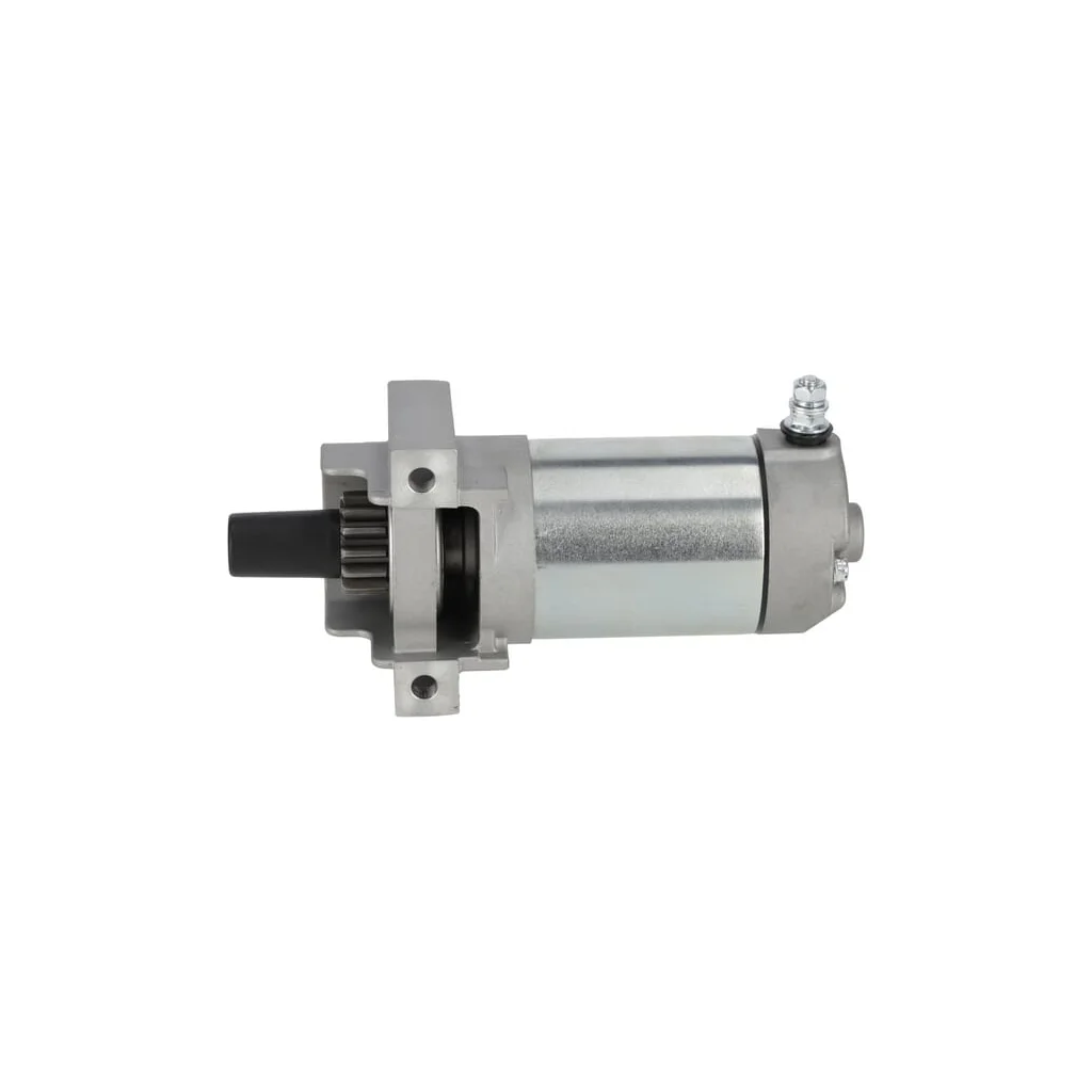 Ansamblu motor de pornire 1185526340