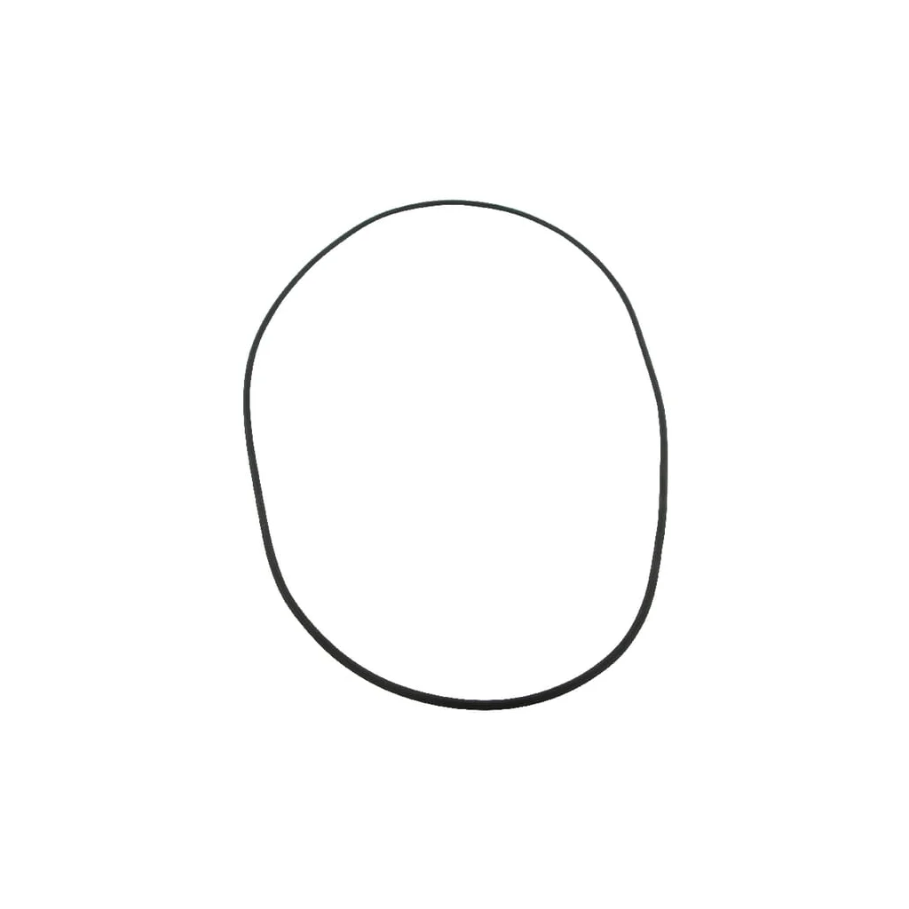O-ring 300x3,5mm 14469580