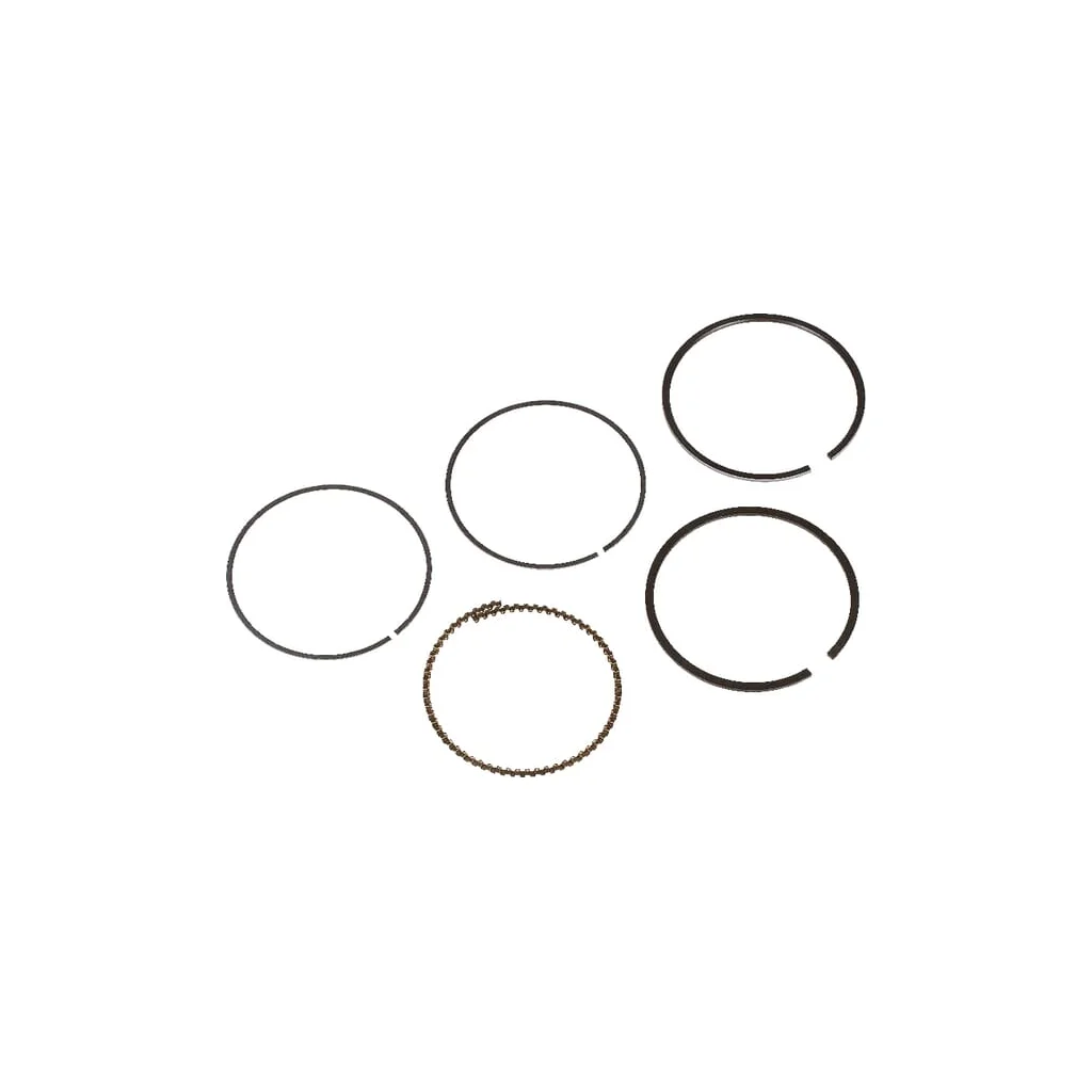 Segmenți piston 130086024
