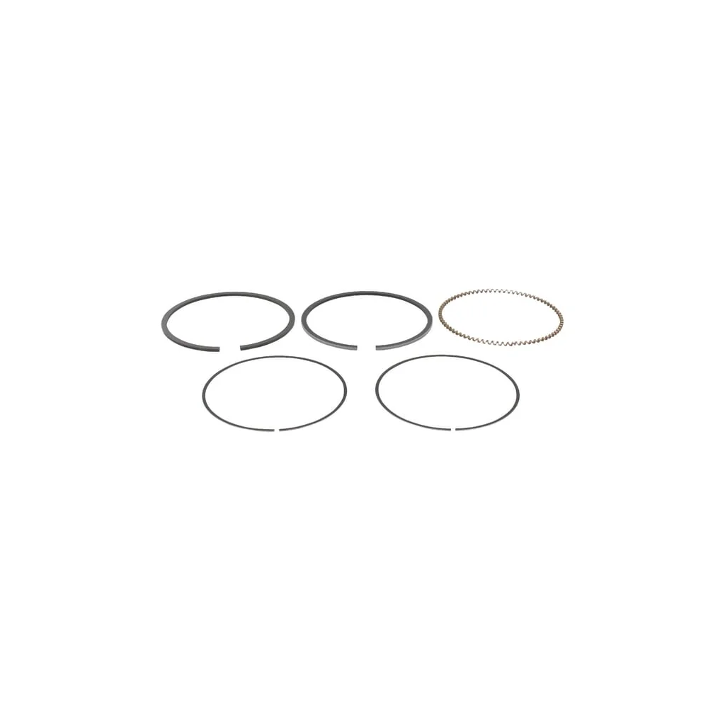 Set inel piston 13010ZF6005