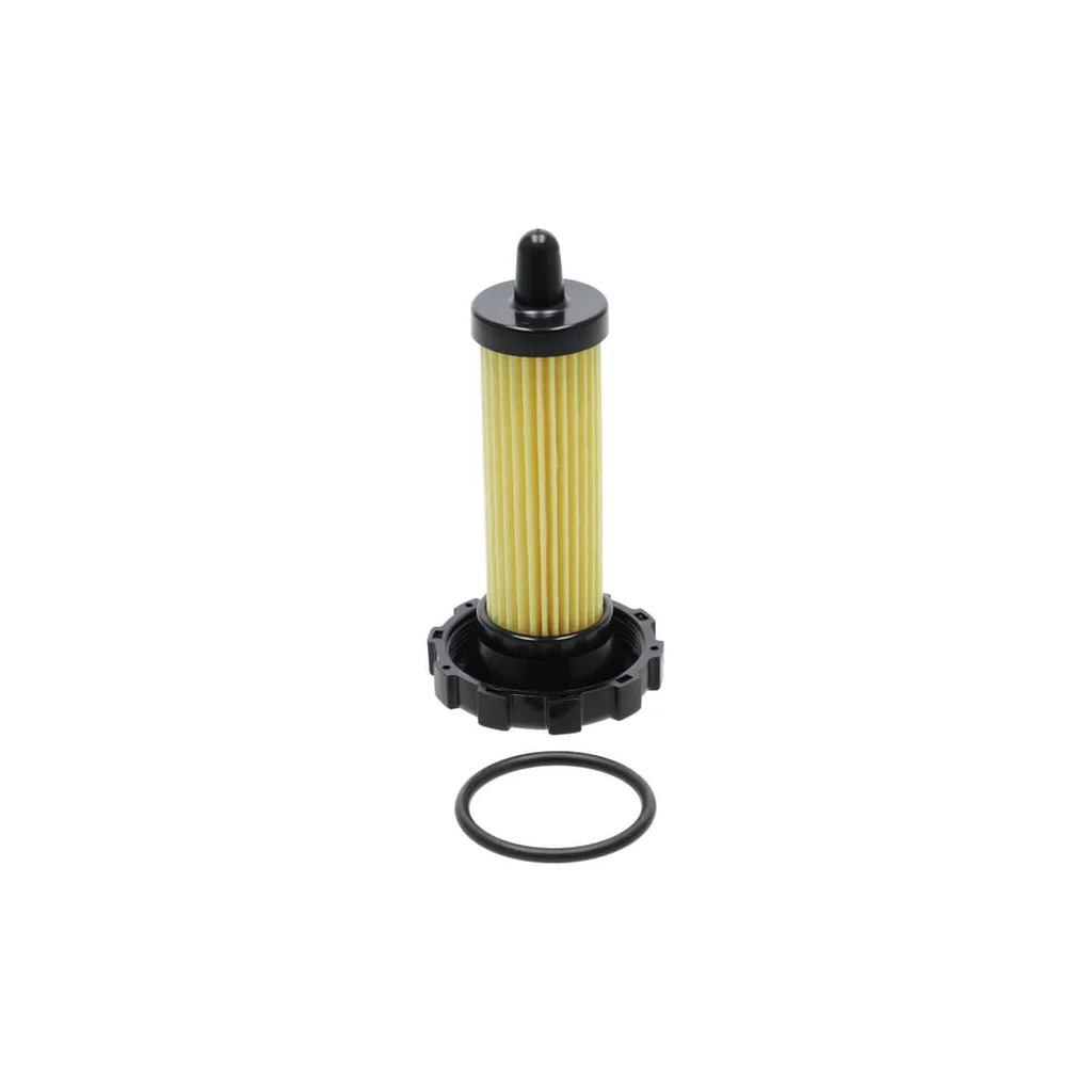 Ansamblu filtru de combustibil 1142043013